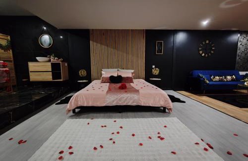 Plouray House | Saphir