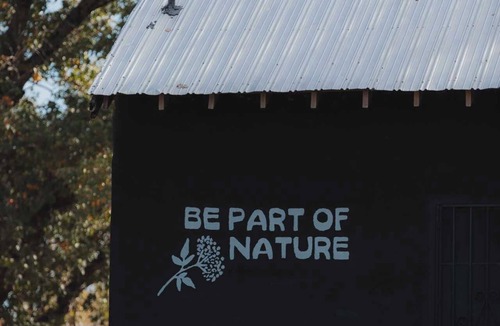 Dunlap Cabin | Secluded rustic 2-bedroom cabin on nature retreat