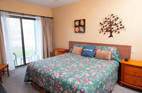 Ludlow Apartment | Ski-In, Ski-Out 2 Br Condo With View Of Ski Lift! Condo