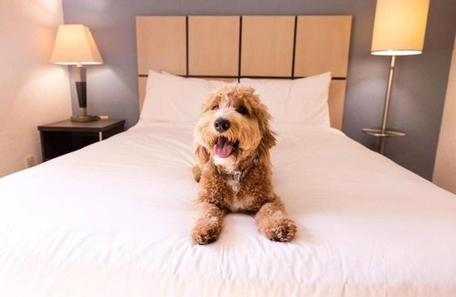 Schiller Park Hotel | Spacious Unit with Full Kitchen, Free Airport Shuttle! Near Ruby Park!