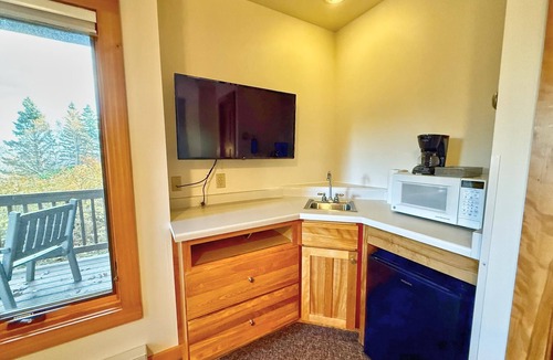 Lutsen Condo | Tranquil Hillside Lower 1BR Guestroom in Lutsen