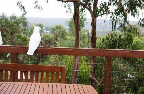 Anglesea House | Tree Top Getaway