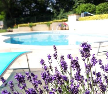 Langoelan House | WILLOW