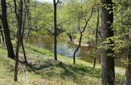 Lake Delton House | Wisconsin Dells Cabin in the Woods - VLD0423