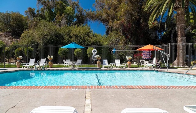 4 Units | Kitchenette | Pool | Near Beaches & Downtown