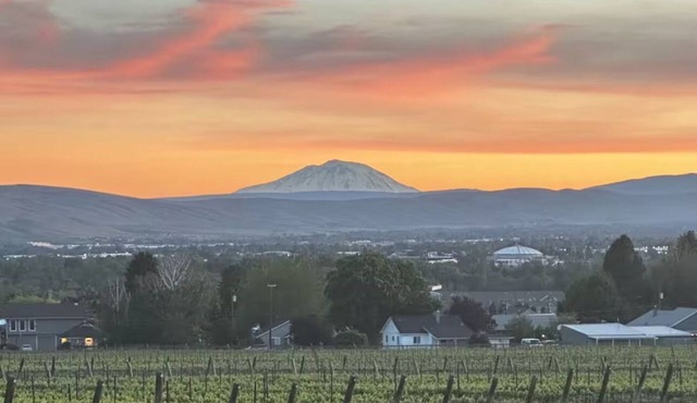 Amazing vineyard views! Conveniently located close to freeways and downtown.
