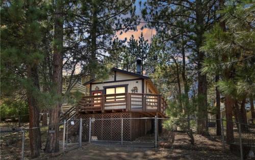 Bear Forest Cabin, Large Yard, Pet-Friendly!