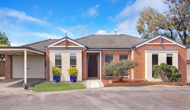 Blue Bird Villa - Hamilton.