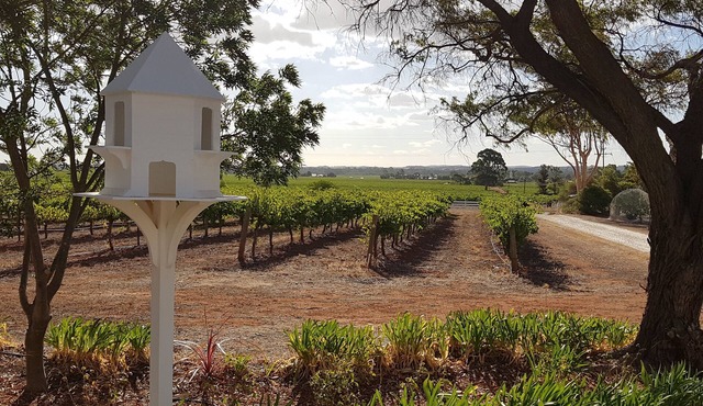 Boutique accommodation peacefully set amongst you're own private vineyard