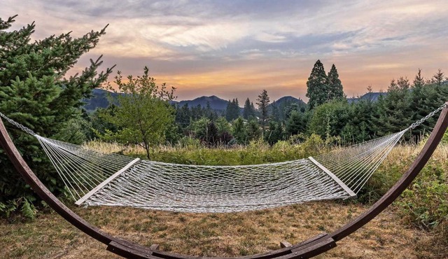 Carson Ridge Luxury Cabins