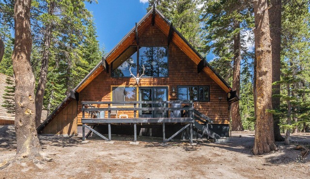 Chalet #4, Slope Side Ski in Ski Out Spacious Fami
