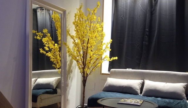 Charming studio in the heart of a shopping street, 2 steps from NAVAL GROUP