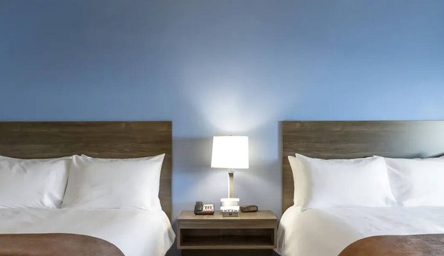 Comfortable 4 Room w/Large Fridge and Dining Area for Long-Term Guests