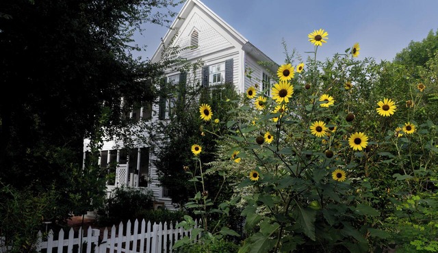 Cozy 3-Bedroom Home in the Heart of Bastrop's Historic District