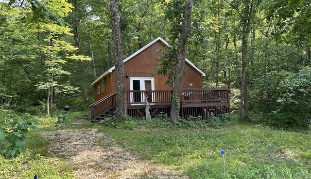 Cozy cabin getaway with hot-tub under stars!