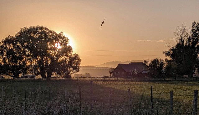 Cozy & rustic, yet modern cabin w/lots of charm. Located on working cattle ranch