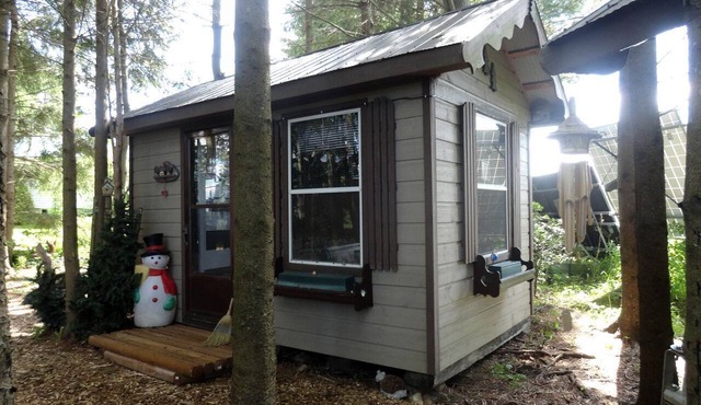 Cute Cozy Tiny House Surrounded by Trees for a Unique Couples Escape in Mt Forest, Ontario