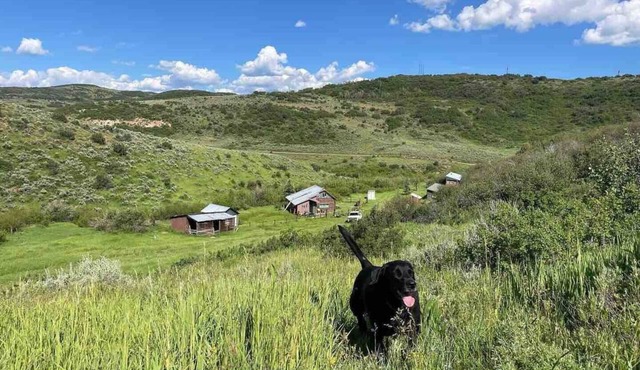 Explore Hunting Cabins in Collbran Colorado - Mountain Made