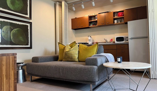 Fall 2025 Discount on Luxury Dallas Condo