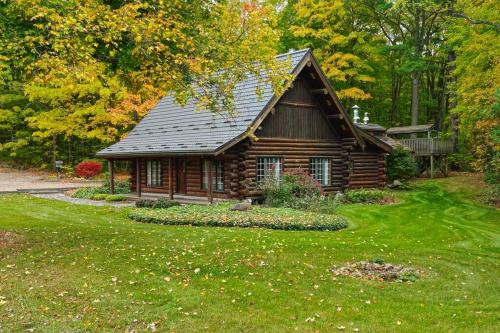 Forest Hideaway