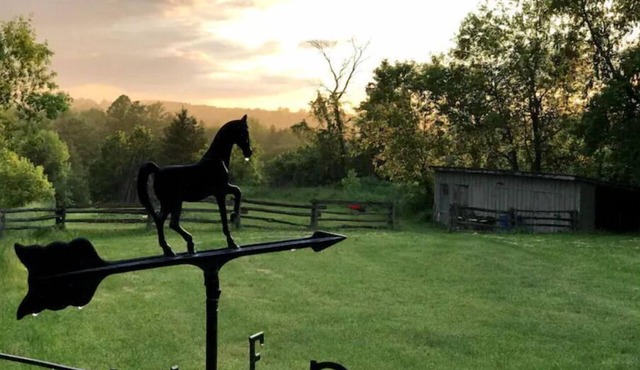 Hockley Hideaway Farm Stay!n