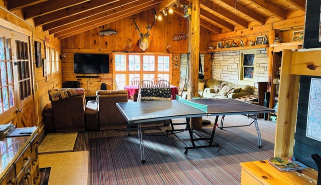 Lake front cabin on the Eagle River chain. Pet friendly. Pontoon for rent.