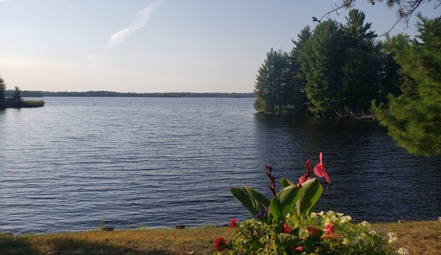 Lakefront Cabin on Island Lake