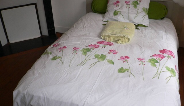 Large detached comfortable room