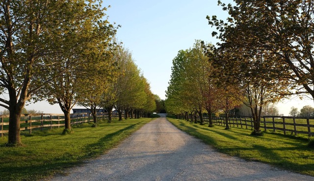 Luxurious Farmhouse Equestrian Estate Getaway
