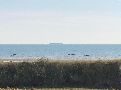 maison vue plage du debarquement