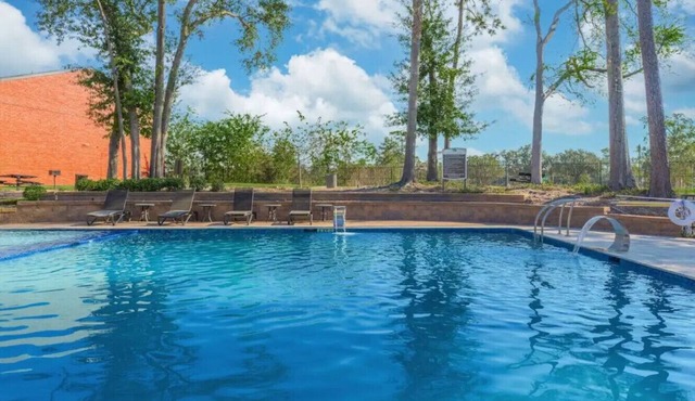 Modern 3BR Apt Pool+Gym+Free Parking Near Galleria