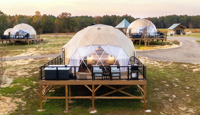 Modern Geodesic Dome: Hot Tub, Seclusion, & Lake Views in Cedar Bluff