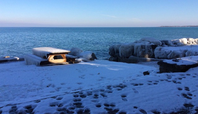 On the Georgian bay, close to ski hills