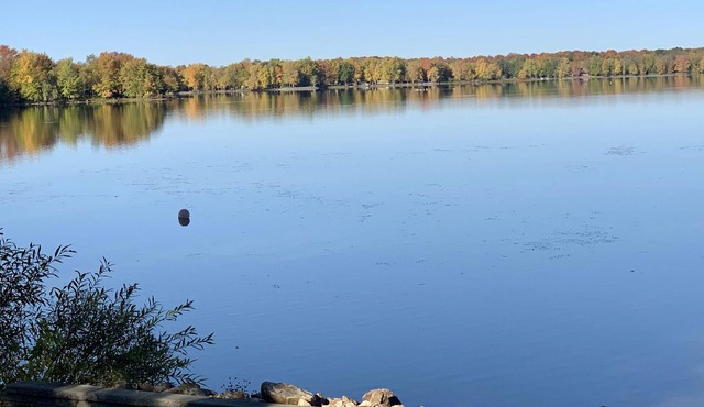 Panoramic Views on Mississippi Lake