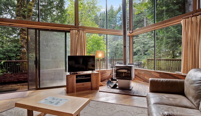 Riverfront cabin with soaring views of mountains & woodstove - dog-friendly