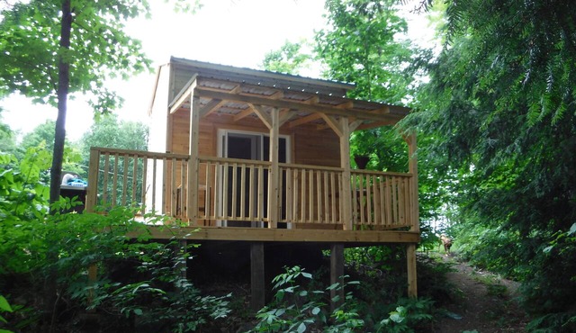 Rustic Bunkie with Lake Front View!