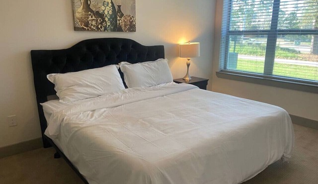 Spacious 2 bed/2 bath Apartment in Spring, TX