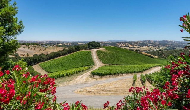 The Source Home @ Copia | vineyard, bbq, jacuzzi