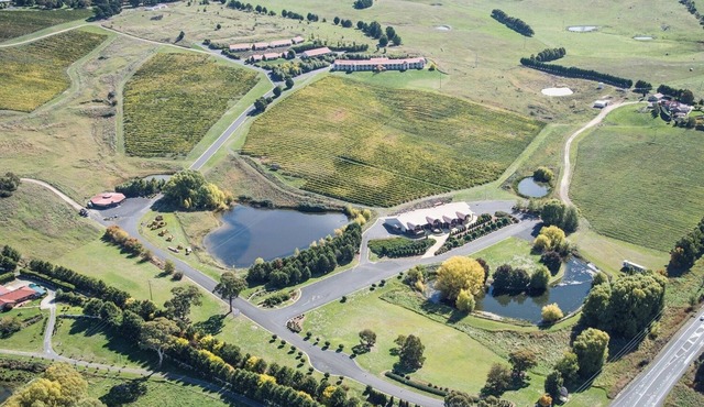 Turners Vineyard