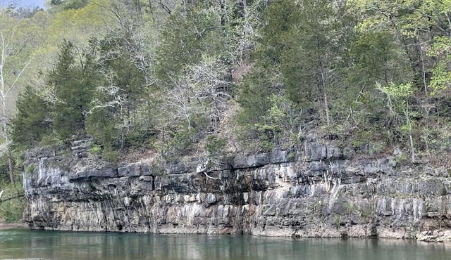 Visit Missouri! Pet-Friendly Cabins, Near Jacks Fork River and Rustiques Antique