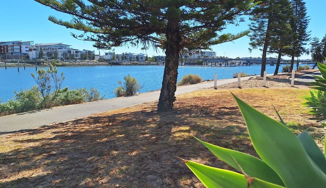 Waterfront Property with lovely views. Wake up to the dolphins and Swimming