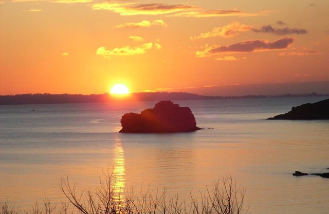 Les Hortensias 