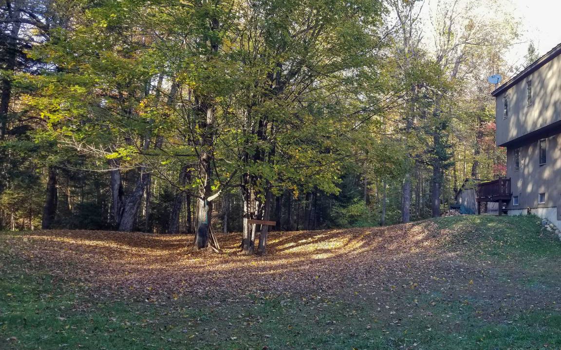 Photo of Others in East Dover