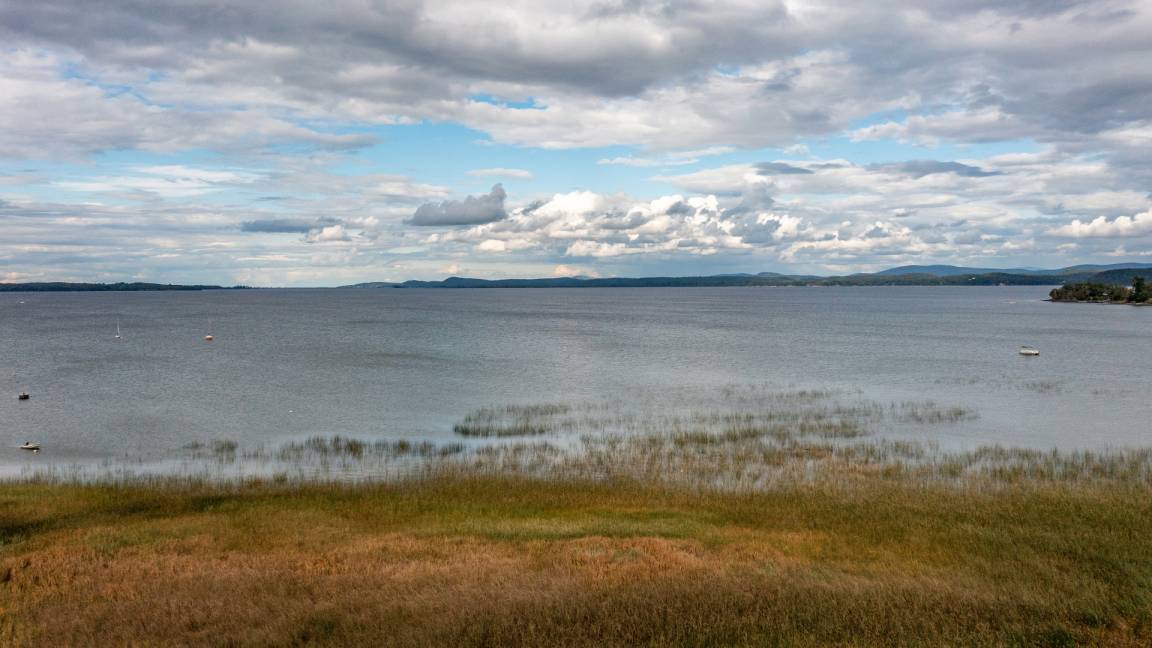 Photo of Others in Malletts Bay