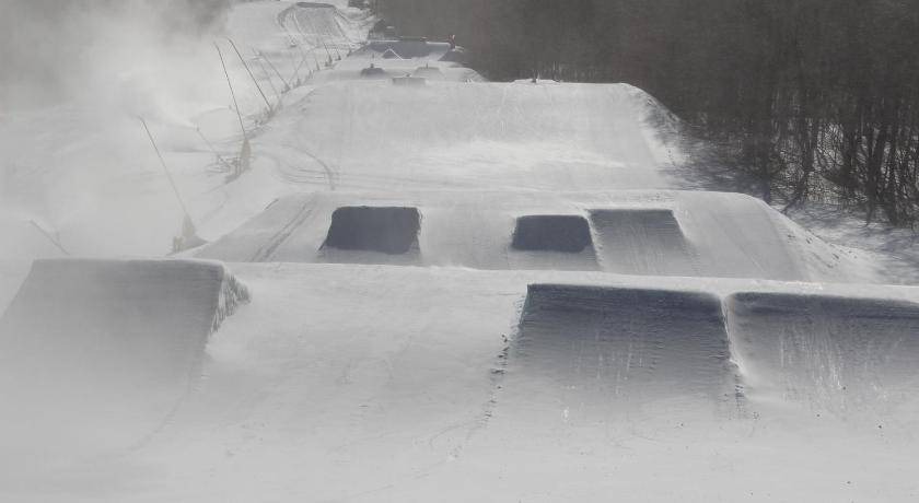 Photo of Others in Stratton Mountain