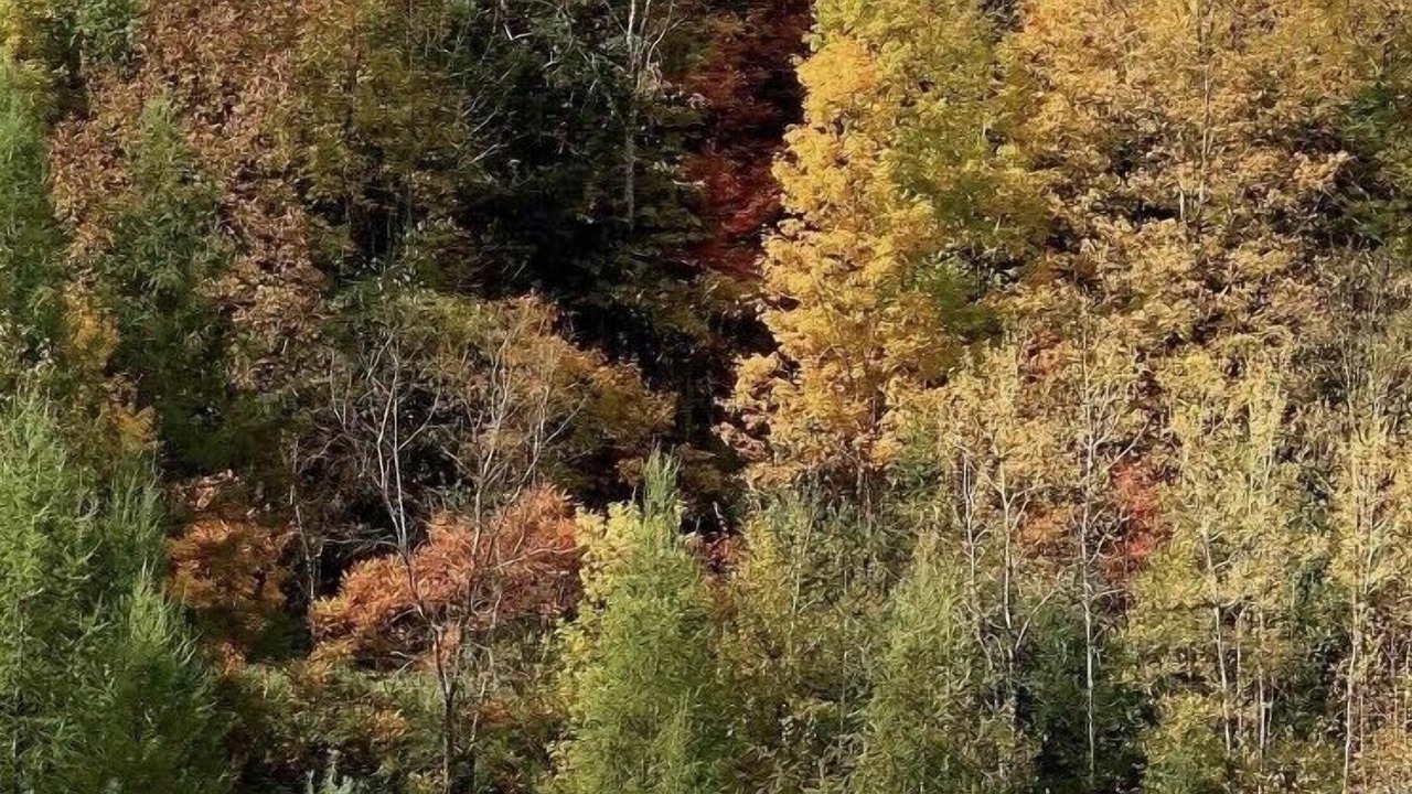 Photo of Outdoor in Enosburg Falls