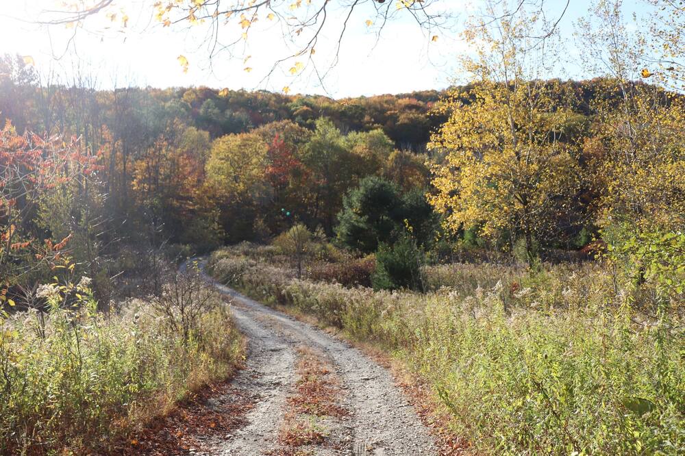 Photo of Outdoor in Middletown Springs