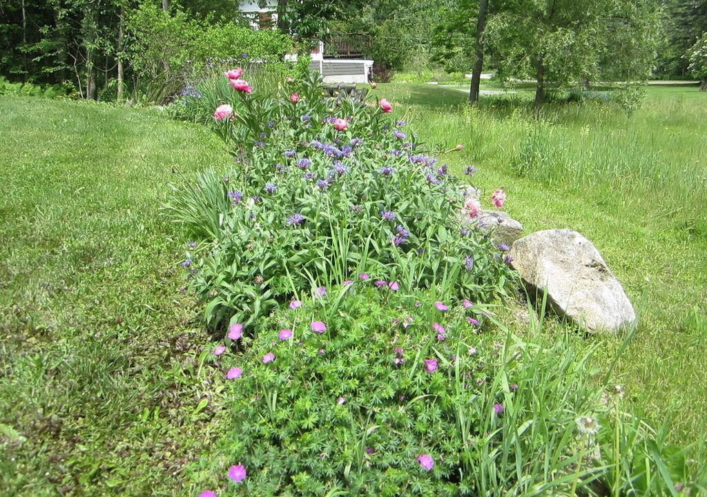 Photo of Outdoor in Barton