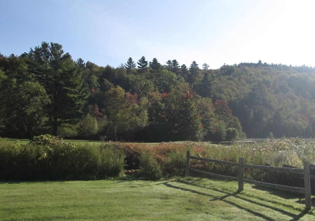 Photo of Outdoor in Barton