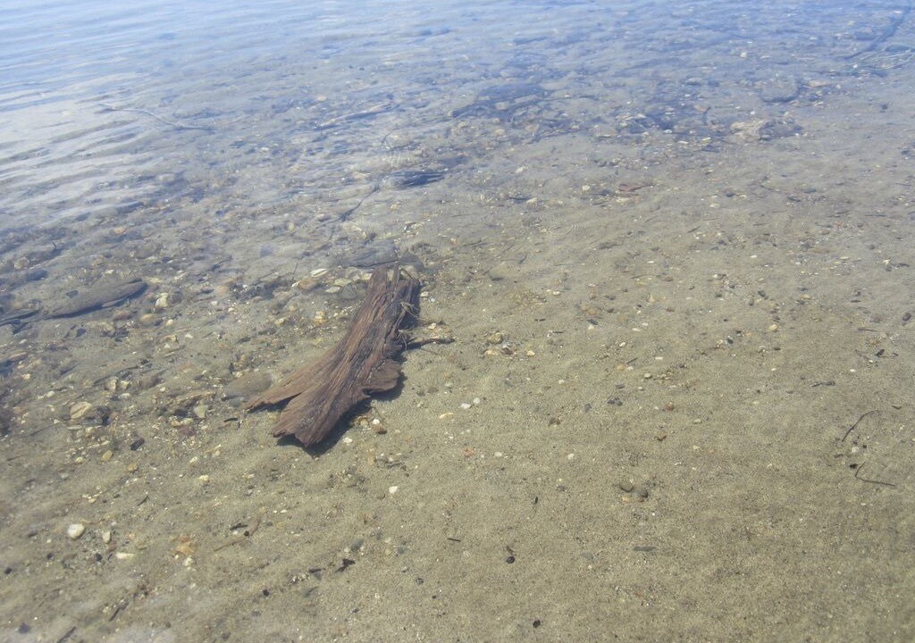 Photo of Others in Barton